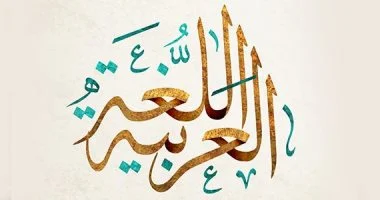 محمي: كورس ادكسيل